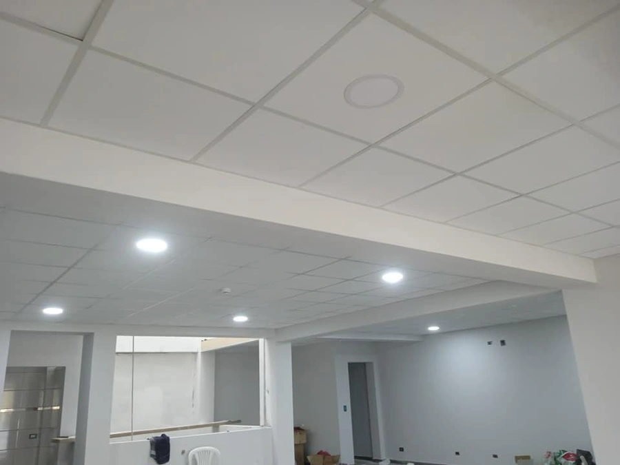 Professional Remodeler